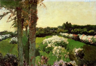 Malvarrosa