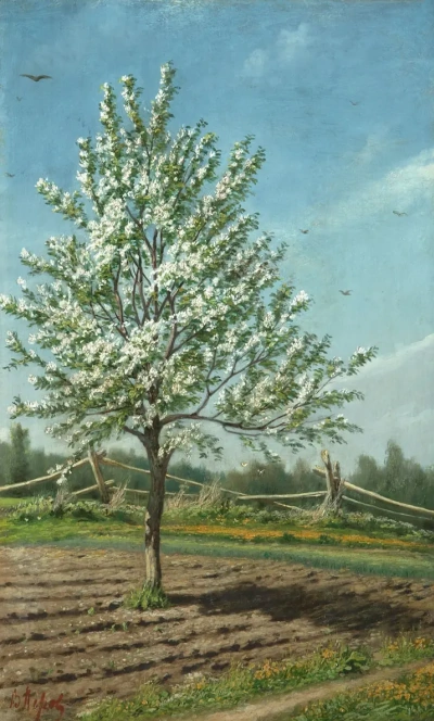 Manzano en flor.