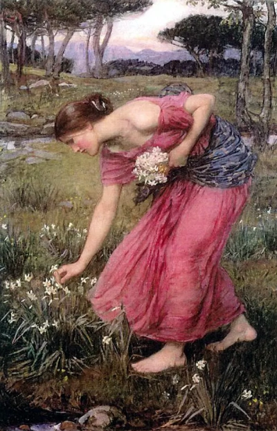 Narcisos.