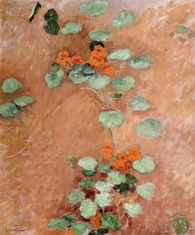 Nasturtiums