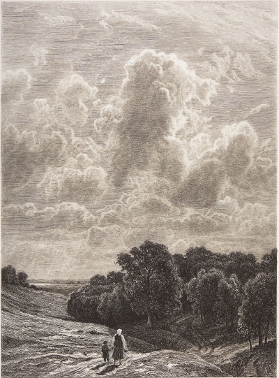 Nubes sobre el bosque.