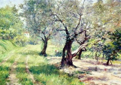 Olivar.