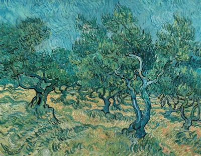Olivos