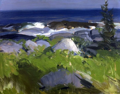 Orilla y vid. Isla Monhegan