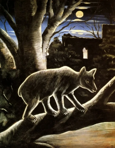 Oso a la luz de la luna.