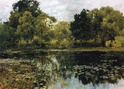 Overgrown pond