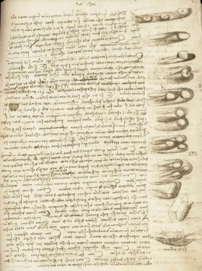 Página del Códice Leicester (Leonardo da Vinci) ️ Análisis del Cuadro