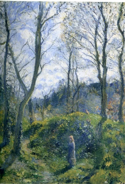 Paisaje con grandes árboles