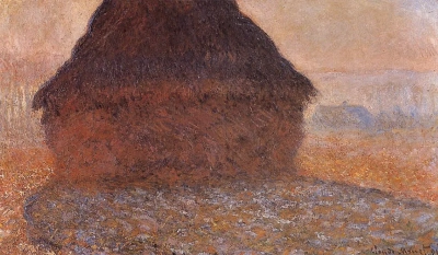 Pájaro en el sol