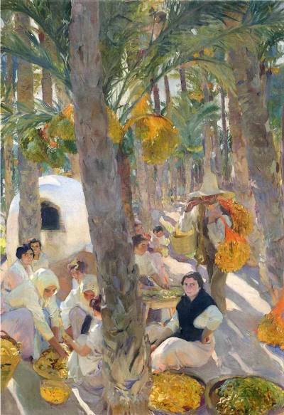 Palm grove in Elche