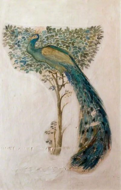 Pavo real