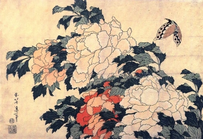 Peonías y mariposa