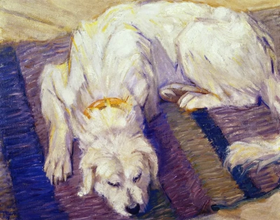 Perro blanco