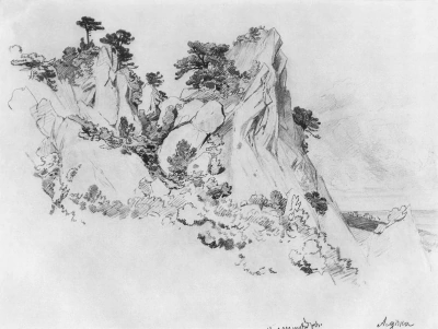 Pinos en los Acantilados. Alupka