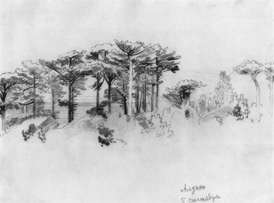 Pinos sobre el mar. Alupka.