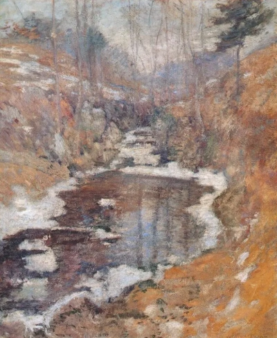 Pond Hemlock