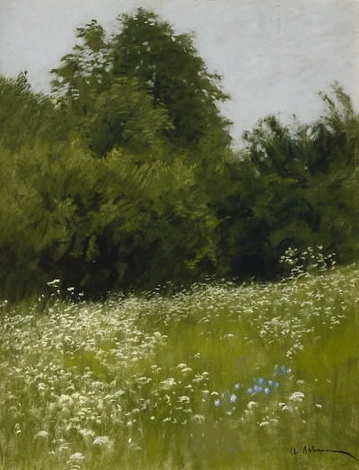 Pradera en el borde del bosque.