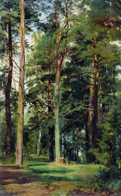 Prado con pinos