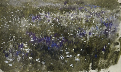 Prado en flor
