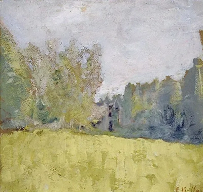 Prado verde