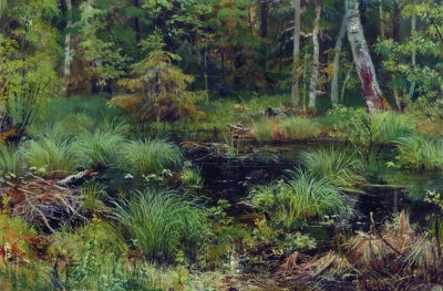 Primavera en el bosque