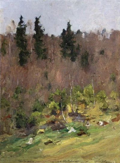 Primavera temprana. La última nieve.