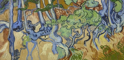 Raíces de árbol