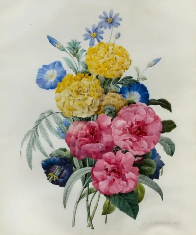 Ramo: convolvulus