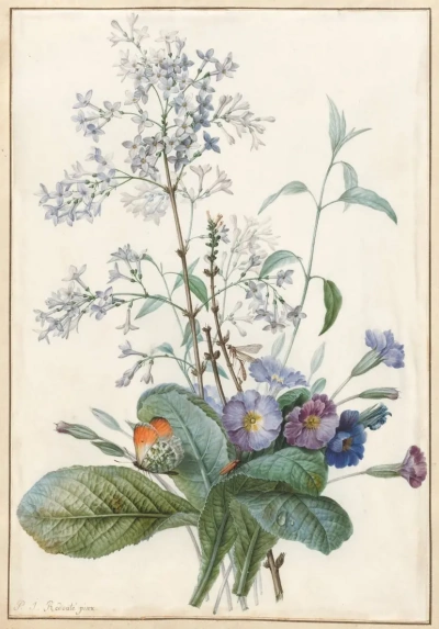 Ramo de flores con insectos