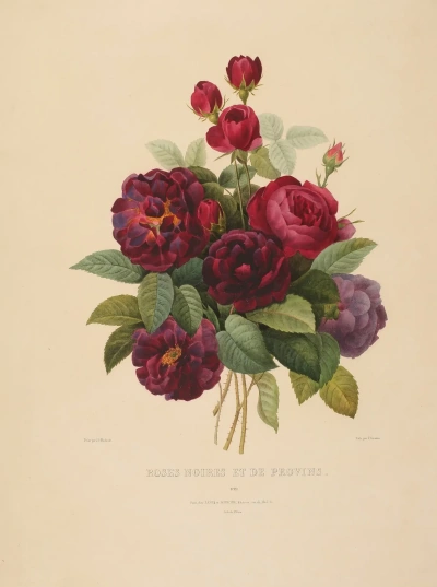 Ramo de rosas