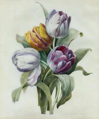 Ramo: tulipanes