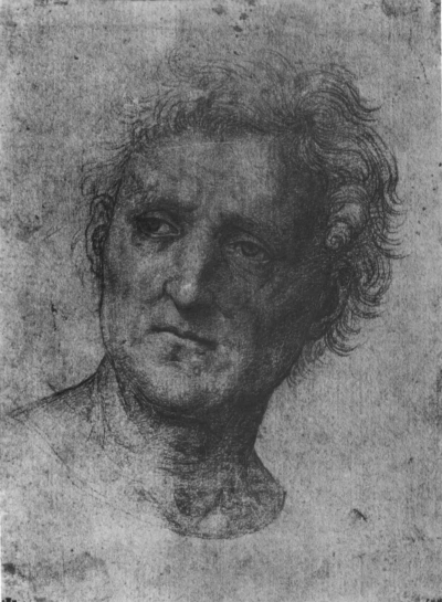 Retrato de un hombre con la cabeza ligeramente girada. (Raphael Santi ...