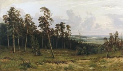 Rico tronco (Bosque de abetos en el río Kama)