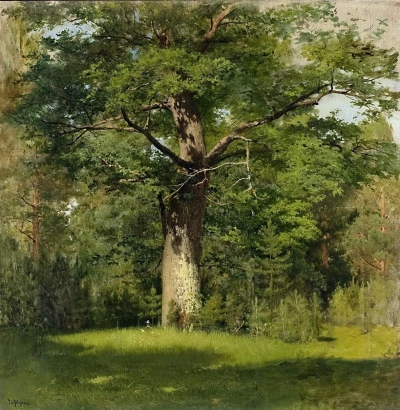 Roble