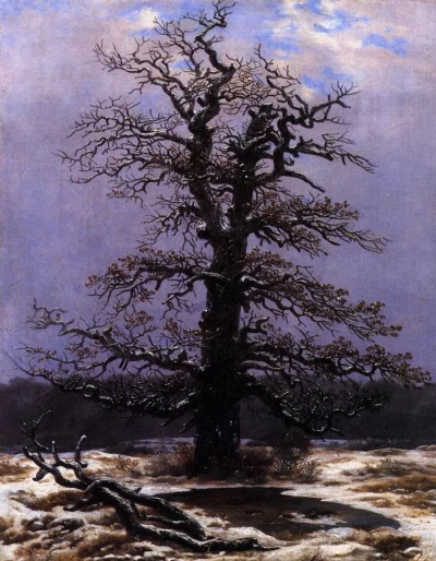 Roble en la nieve