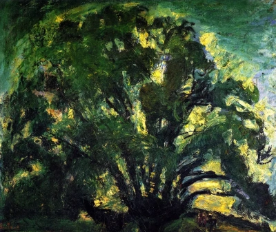 Roble