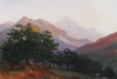 Robles en las montañas de Carrara.