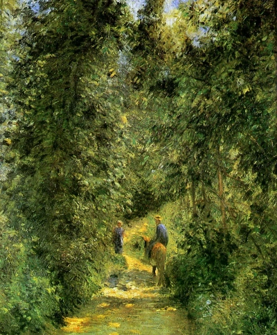 Sendero en el bosque en verano