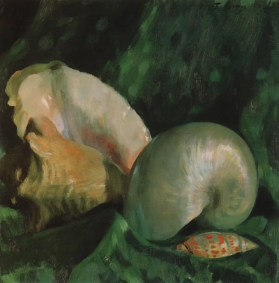 Sumideros