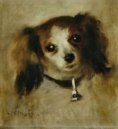 The dog's head