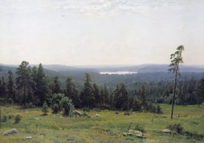 The forest horizons