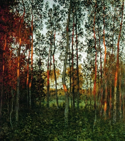 The last rays of the sun. Aspen forest.