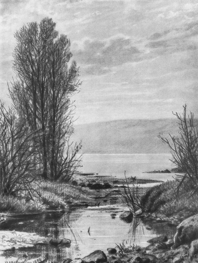 The shore of the lake