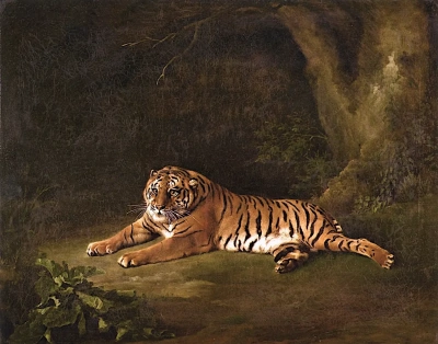Tigresa