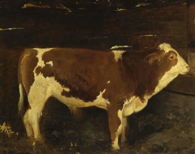 Toro.