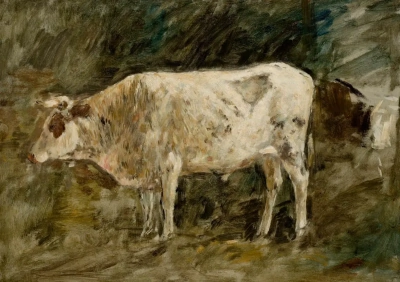 Toro blanco