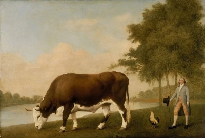 Toro de Lincolnshire.