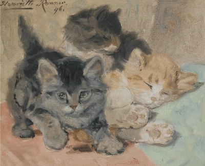 Tres gatito