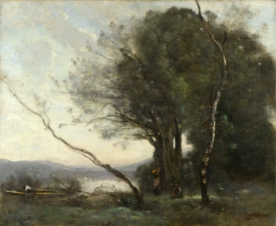 Tronco de árbol cayendo