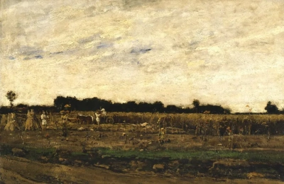 Un campo de trigo